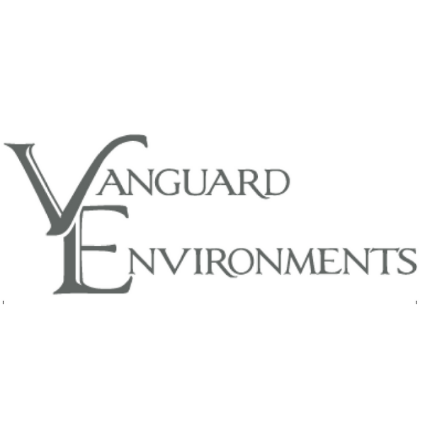 Vanguard-Environments